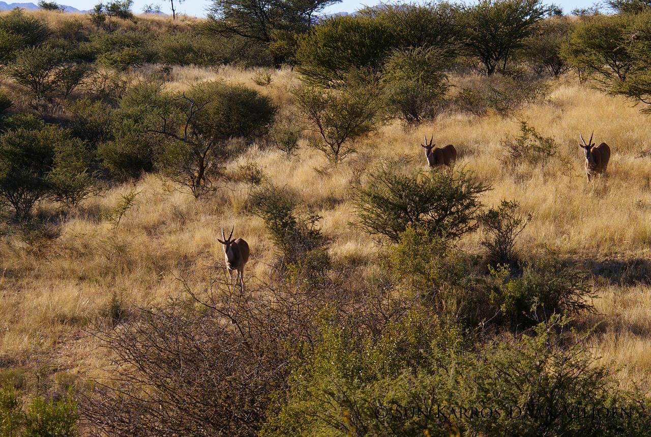 Daan Viljoen Game Lodge Виндхук Экстерьер фото